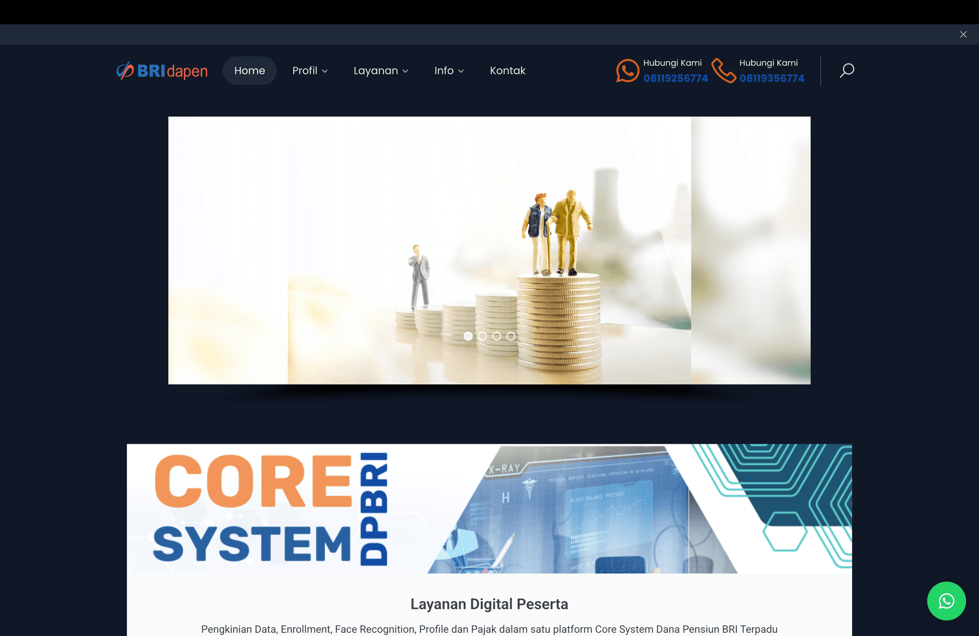 /projects/bri/homepage.png